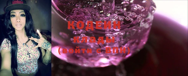индика Богданович