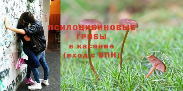 ALPHA PVP Осташков