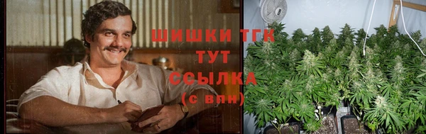 индика Богданович