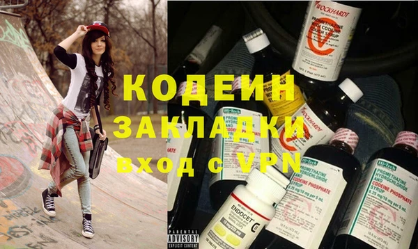 индика Богданович