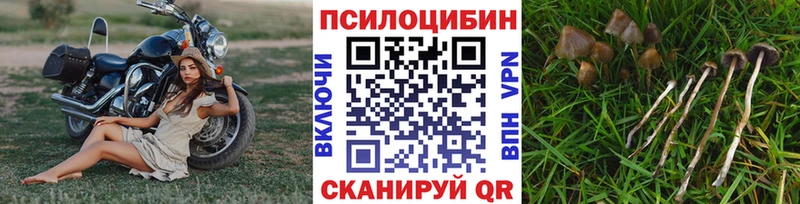 Псилоцибиновые грибы MAGIC MUSHROOMS  Георгиевск 