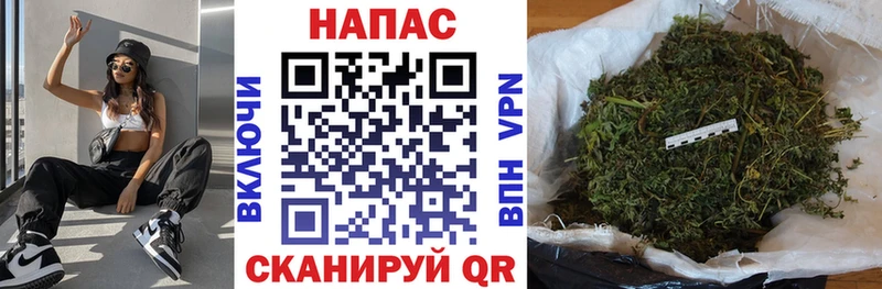 Бошки марихуана Amnesia  что такое наркотик  Георгиевск 